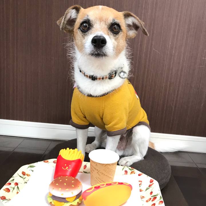 7fd65478 66ed 49b4 ab0e 39c6845835ff 1550976632565