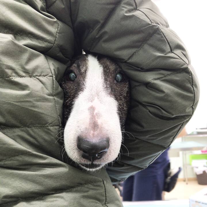 7fd66a62 e4f3 4e6d 82f3 2d35f83891d1 1514537104303