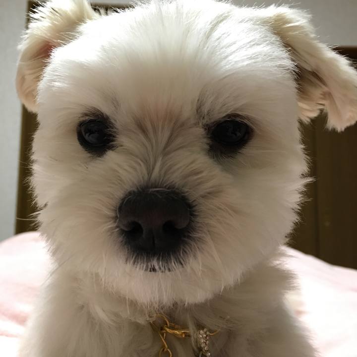 7fd6e223 b9ec 42ab 8848 572874eae6ce 1518239939216