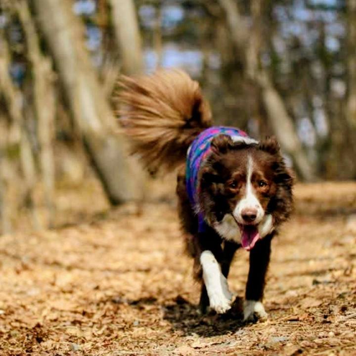 7fd6fa5e 010e 4fae a9c6 dd7d9eceeea8 1772772677201