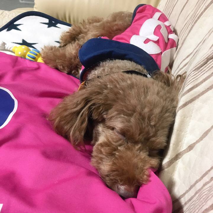 7fd71f4e cf03 4c8d baee 007d2c9af761 1508413683659