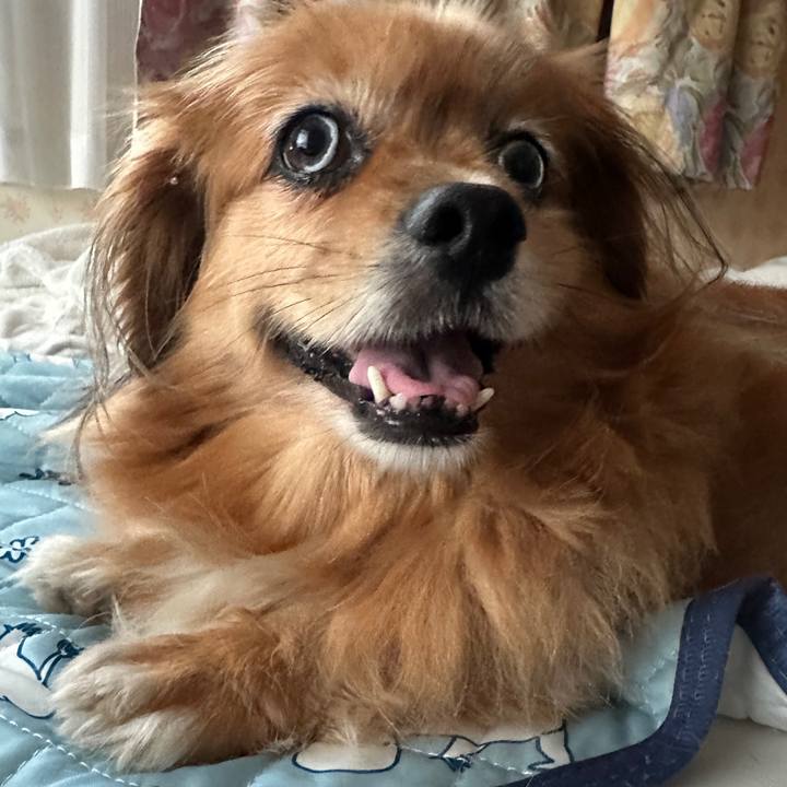 7fd76209 a4f8 496f a861 8b52fb97936c 1751950828689