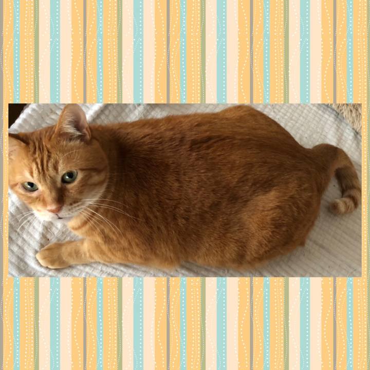 7fd76d8c 5515 4135 aee4 8db468037457 1647207560257