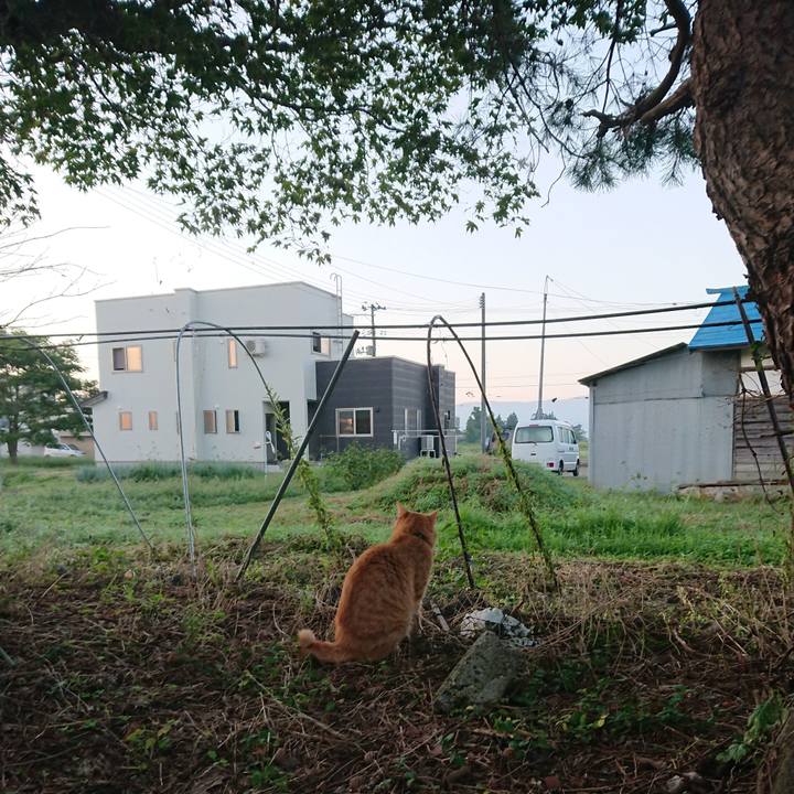 7fd77138 3e70 4bed af22 53c6dceffed0 1662843452530