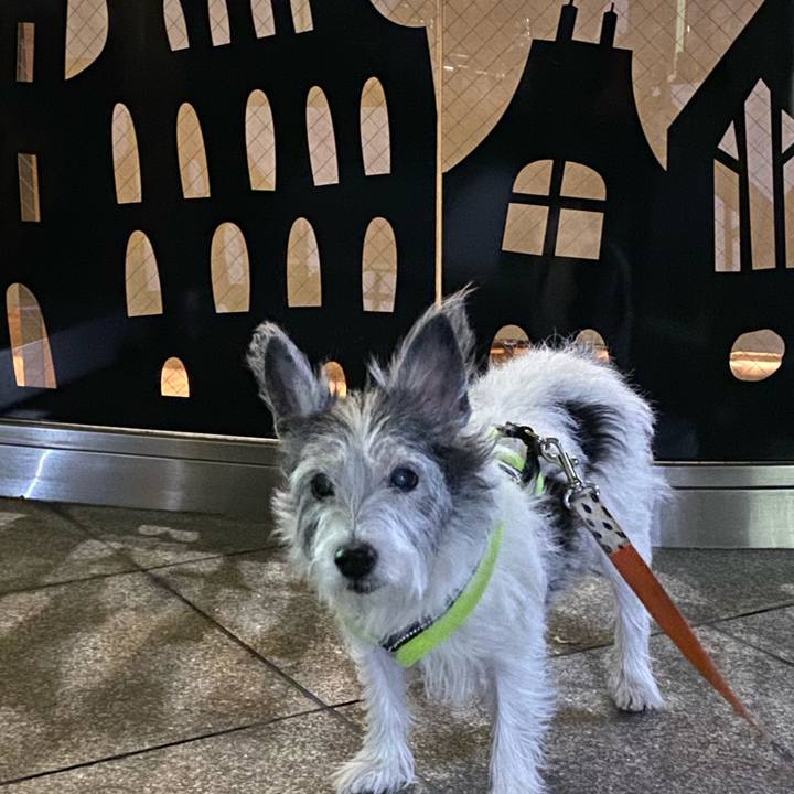 7fd771cd 0df4 48c5 a5c8 3bfeb7624975 1571742997213