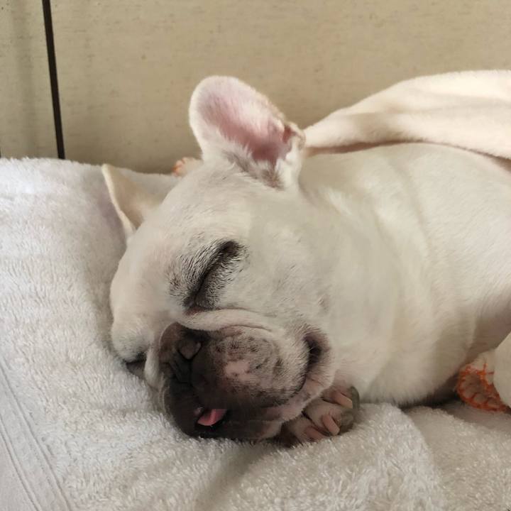 7fd78f08 0d8d 4b84 83e0 bc1aaa047643 1666415265451