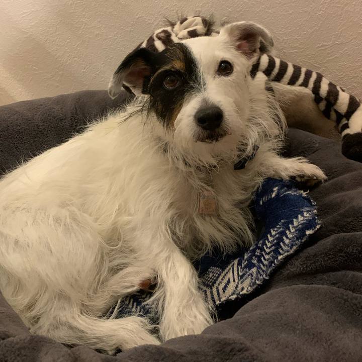 7fd7f6a3 03eb 4a96 9773 50356474961e 1664876512152