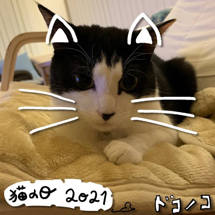 7fd816c6 0b93 4361 be2d 35728d86cbb8 1614000987005