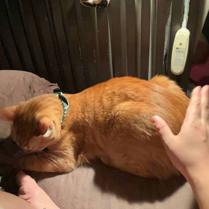 7fd8284d 28ed 46a4 9a0a 5bbabe737af2 1636088363180