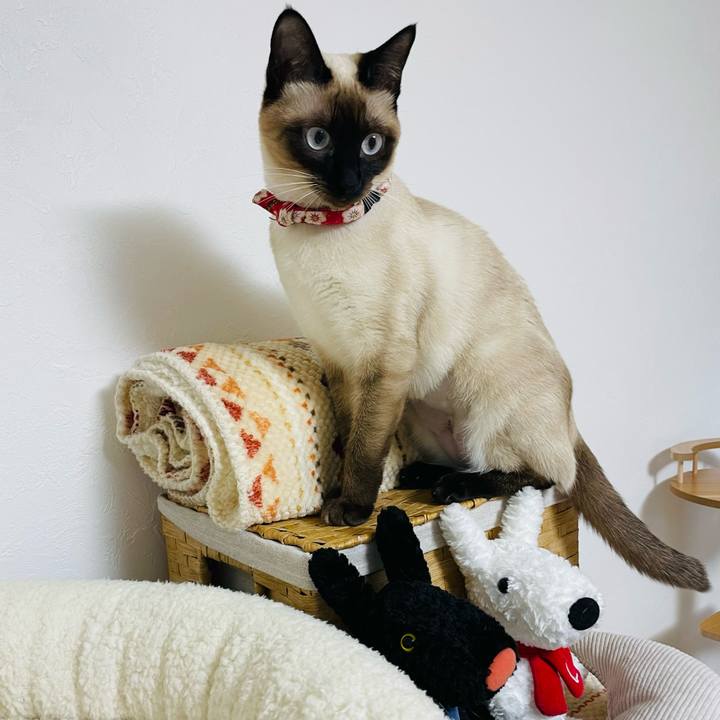 7fd82d2b e538 45a6 ba29 f3cb867d81a8 1708975758543