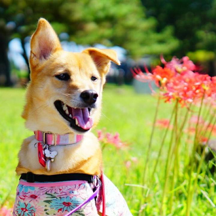 7fd8acfb ae18 40a3 9c53 1397f670964f 1538139345617