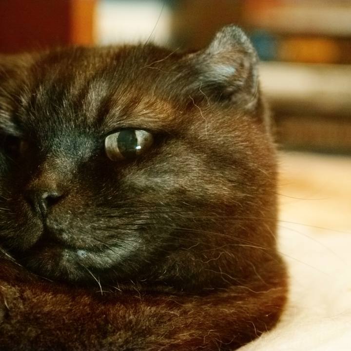 7fd8c0cd 5b60 4555 8ccf 25cdb270e117 1624547844655