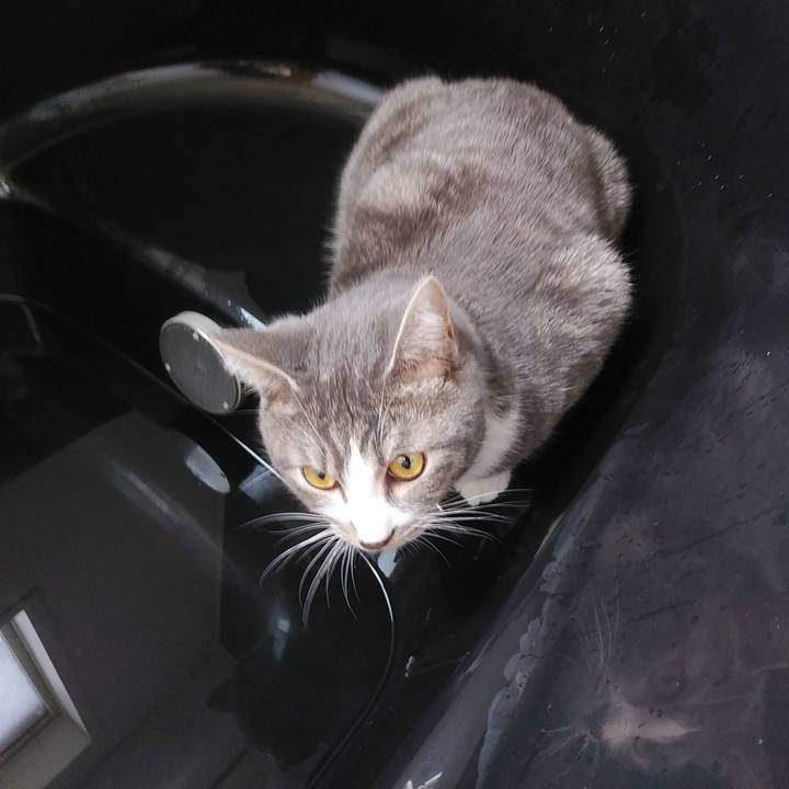 7fd8e81a bb80 4490 92e2 72e20d270421 1578363146408