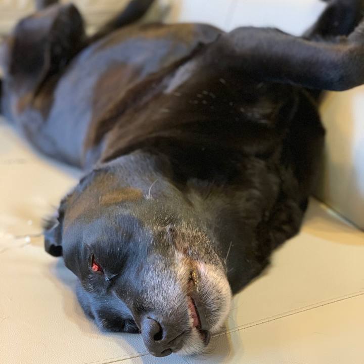 7fd8e9f7 d440 42bd 90bd 4b73cedcb752 1550448233841