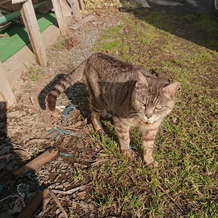 7fd8ea5d 021d 403b ac81 43ef5de0e72d 1551594713419