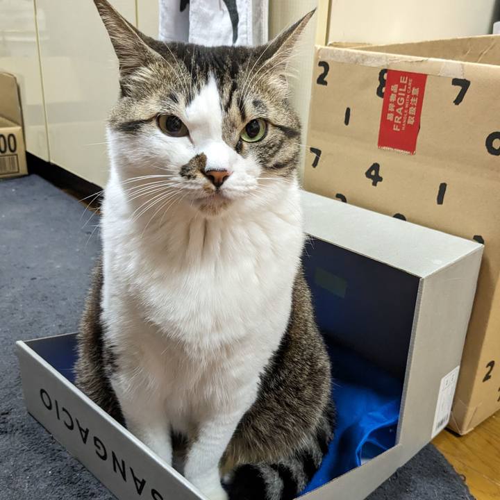 7fd8f5e5 e078 4e49 8945 2047dfb45a90 1708427802460