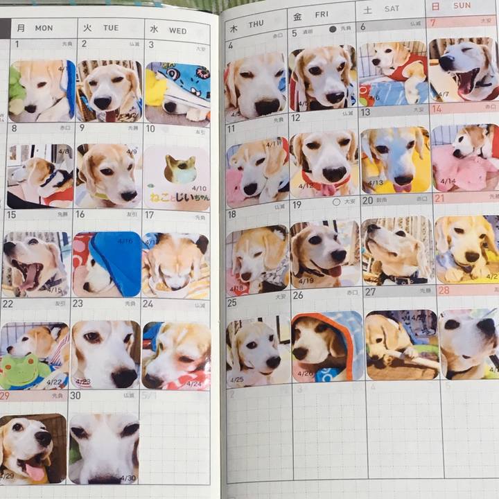 7fd90472 56b8 479f 8f9c 0dcd82b887fe 1557729580811