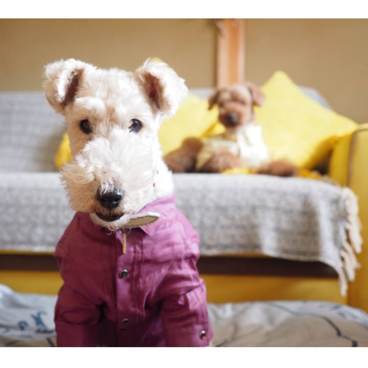 7fd905a0 9478 4cc6 91c1 6dc25824f75d 1586091255199