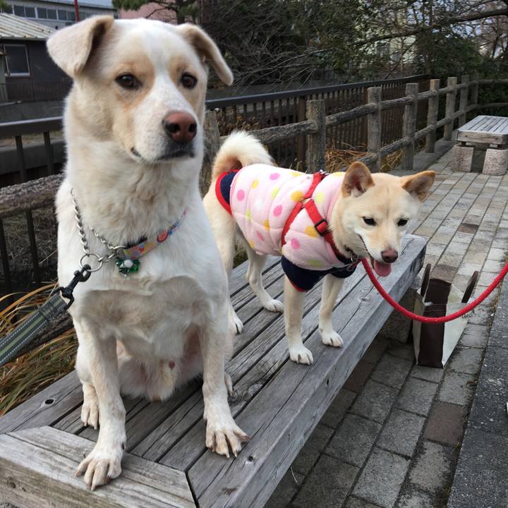 7fd919d4 2411 47a7 bd17 43376758c1d7 1514699242528