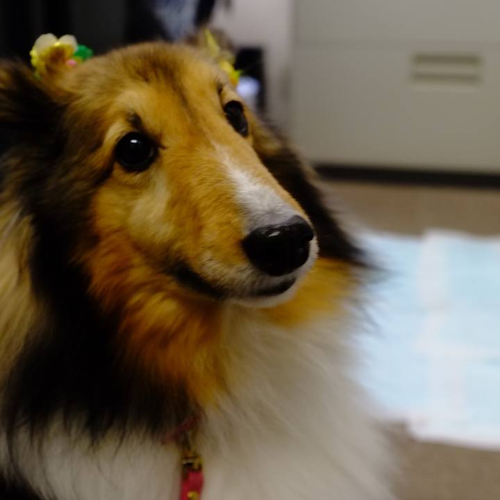 7fd946c7 adc5 4de6 bf73 23a8678fd5e8 1569329729725