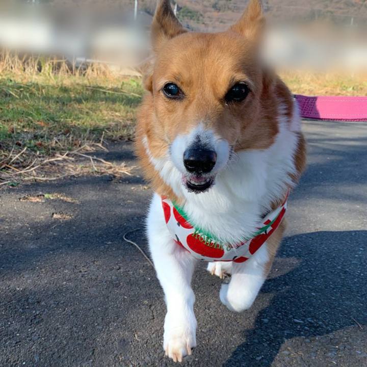 7fd9b349 5e0f 4529 ba7c 22f0f04c7082 1703818162491