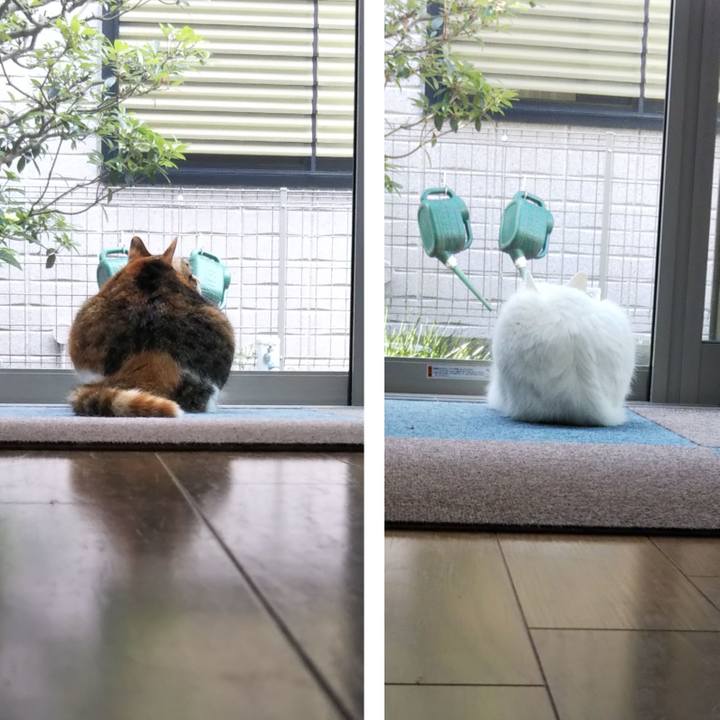 7fd9c394 6dd1 4887 94e5 bdd6015dd466 1654379732288