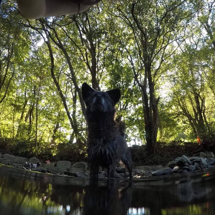 7fd9d582 658d 423a b064 29d9a1a34588 1537448637583