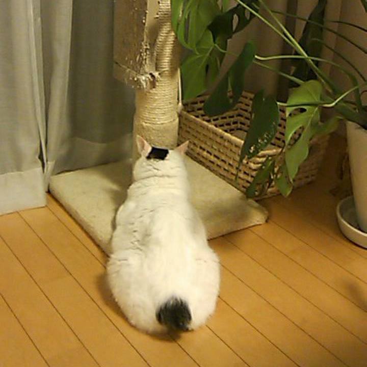 7fd9fa0f e4e9 4a08 ba4a 5a983576bf97 1774958938085