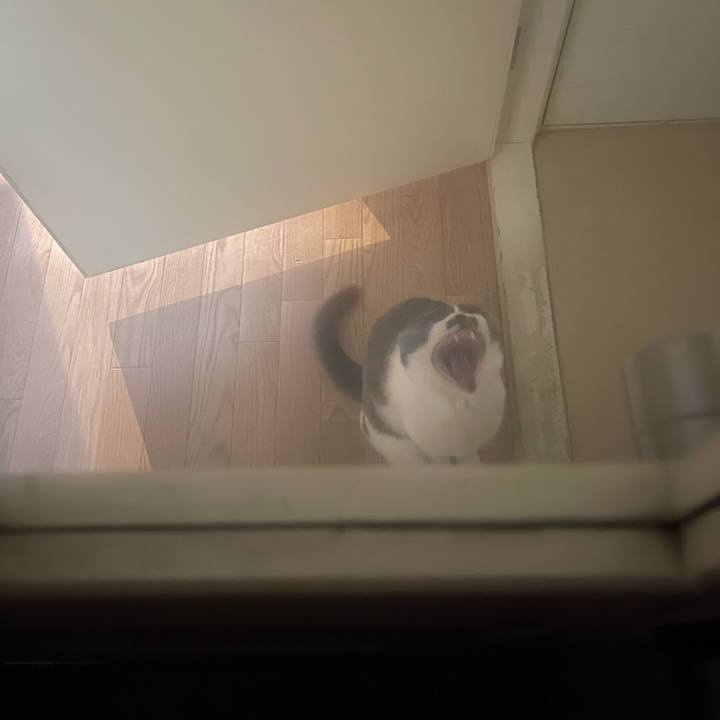 7fda00b3 bee8 4f5f b69b bb8a3ce96d77 1746683410734