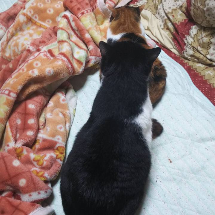 7fda214c 1bf9 4c01 a47e 5cedd12b5055 1557176035422