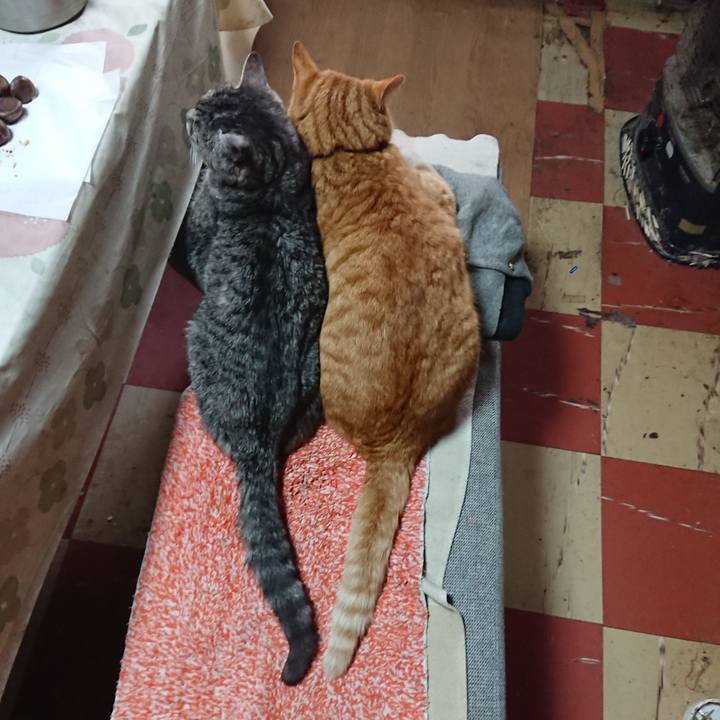 7fda3237 b520 4a10 89f6 e1a10e2f91fa 1577854412545