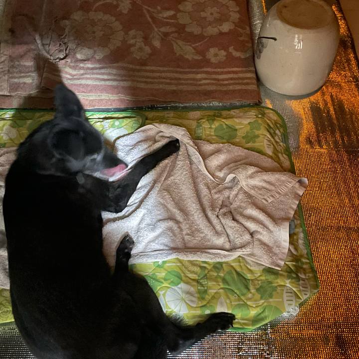 7fda58af 37f9 4f88 9c82 73ca485b455b 1663517577160