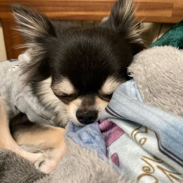 7fda6932 9c3b 40c1 a758 e2bca7d342e1 1641818268210