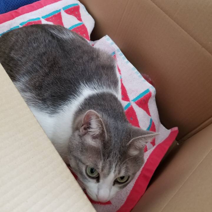 7fda78ae 75d3 4390 9145 7c0c34367b2d 1610456767302