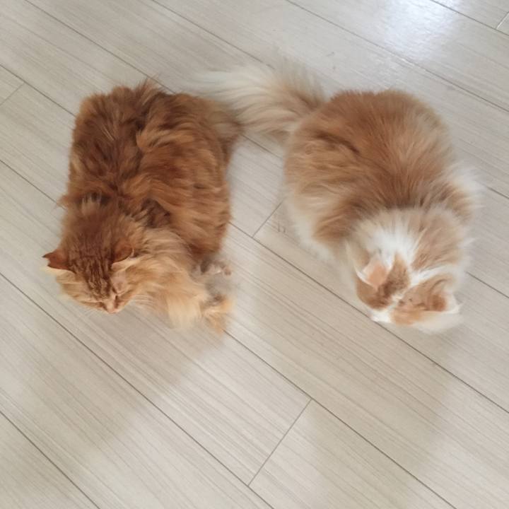 7fda8d95 8f15 47a6 9ce0 2141da359799 1515705577182