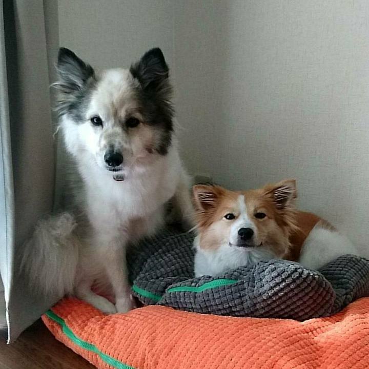 7fda8df2 1514 4b32 8ffb a39e02a067b1 1525607560023