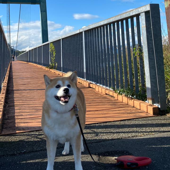 7fdaa6b0 bae2 457f a6a2 0b9752b4025b 1634013845454