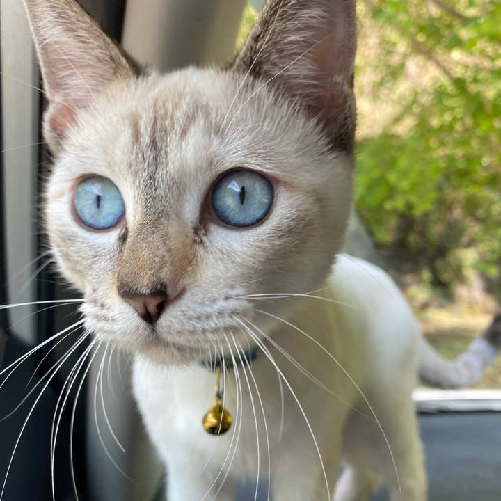 7fdaa746 30c5 4731 8104 7aad38b529df 1635745739169