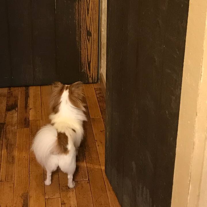 7fdab735 21c9 44fe 9953 3a2488212498 1534769686654