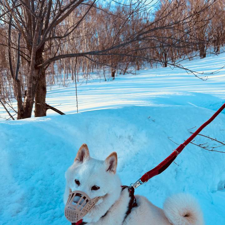 7fdabab9 c9dc 4de5 8f51 02a948c4a727 1711145869250