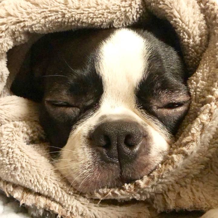 7fdacc9f 77ec 4ee4 b69d 2eb9078e6ee5 1511785887382