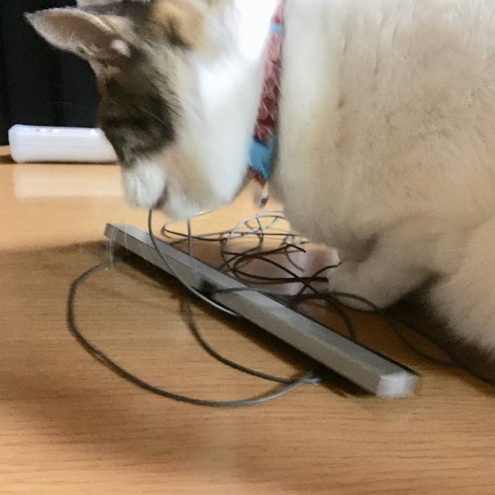 7fdad49b 3114 4c8d 8e6c e1c31324b3da 1509570702607