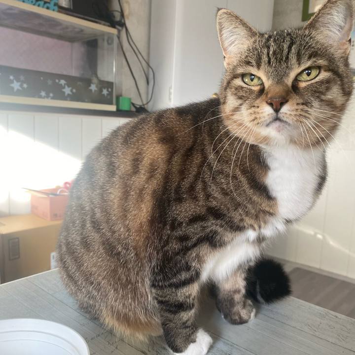 7fdaf0db 9b0e 4f7e baa5 65a2d2741611 1639437786280