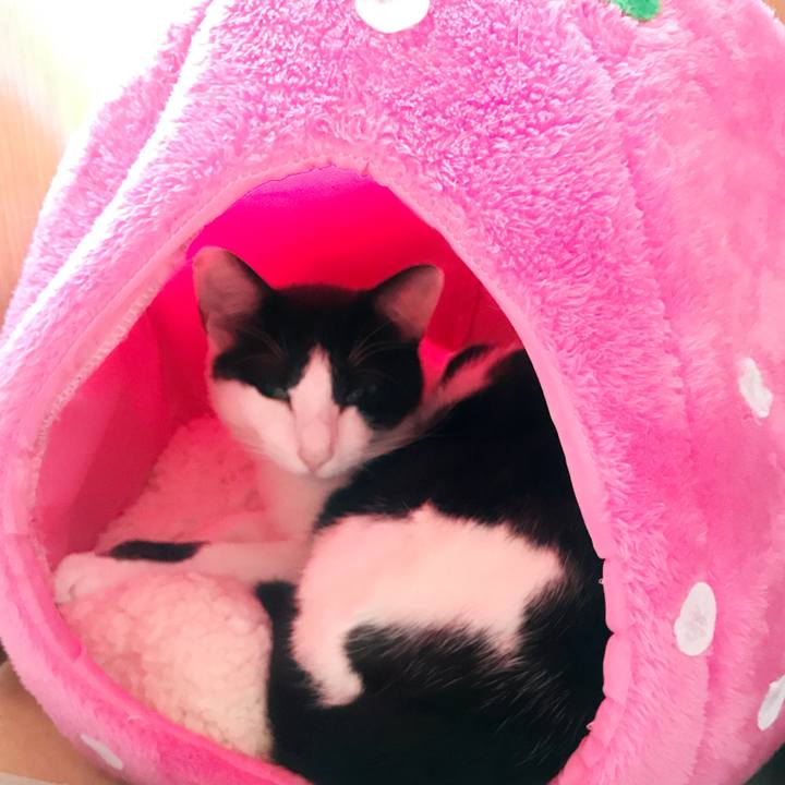 7fdb22c4 057a 467c af18 d30dbbc0245c 1507686932246