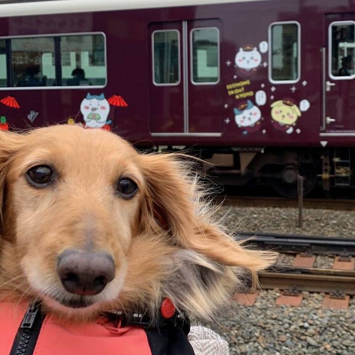 7fdb3647 15fd 4c4e 8ba5 6275ab100aac 1709183098625