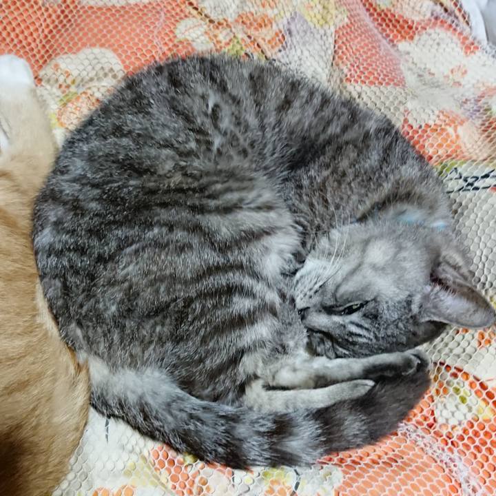 7fdb72e0 be4d 4d22 8a39 54f6515621e2 1570282756537