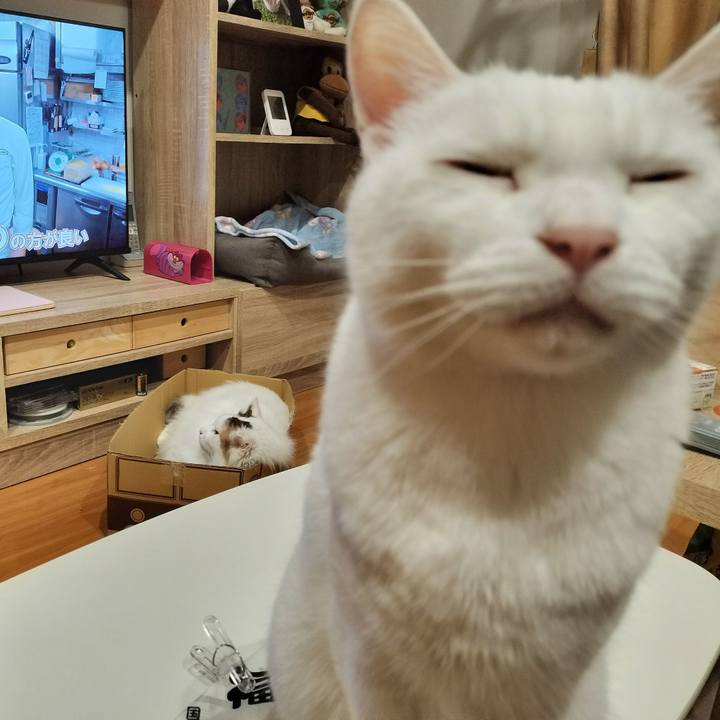 7fdbc163 2030 4e2a 9e90 b2d4068490fa 1770128339954