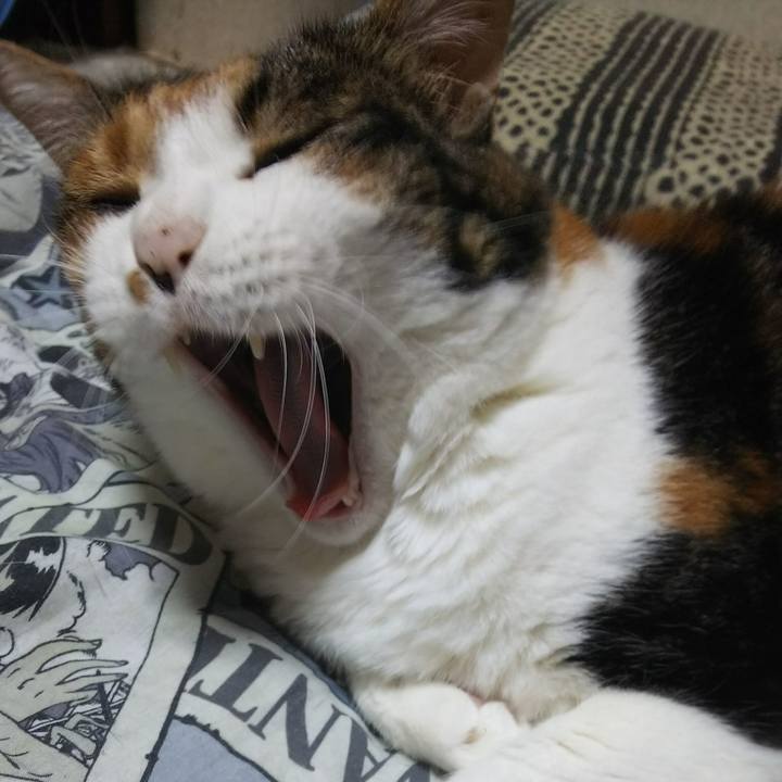 7fdbd226 a119 4499 967f 23c37c73e8c2 1532825789157