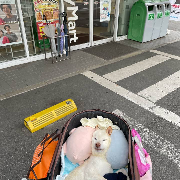 7fdbd269 f7f3 4916 b593 aa911abe69a9 1679915571052