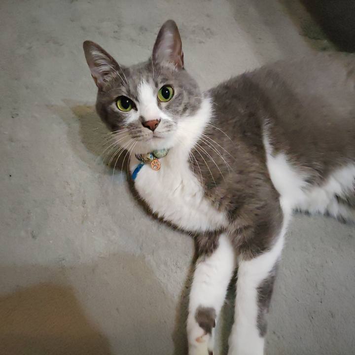 7fdc9dac 6ccb 43d2 ba5b d37c9d6c2d76 1698011735939